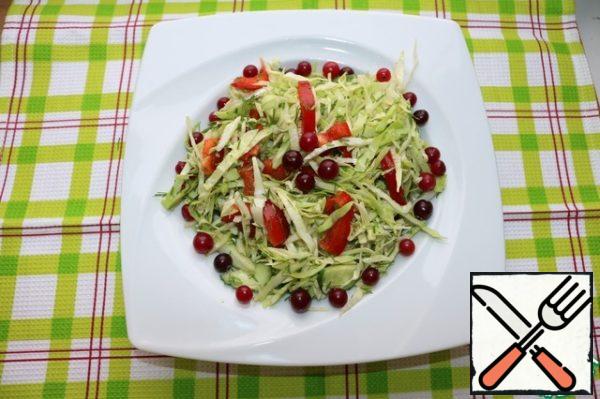 We put our salad on a plate. And garnish with cranberries.
