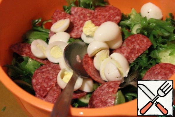 Sliced cucumber, tomatoes, cherry, quail eggs and sausage, cut in half, add to lettuce leaves. Season with salt, pepper and olive oil.
