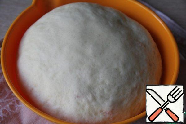 Give the dough the shape of a ball, cover the dough with a film or towel and leave to approach in a warm place until doubled.
