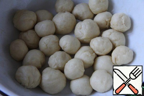 Divide the dough into balls about 5 cm in diameter. Place in a bowl and drizzle with oil. Cover and let stand until increased in volume.