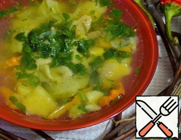 Vegetable Soup with Chicken and Pasta Recipe