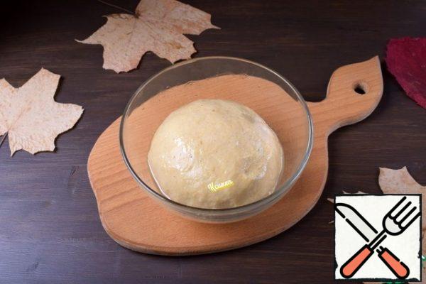 First, the dough will be viscous and heterogeneous. Continue to knead the dough for about 10 minutes and gradually it will turn into a soft, elastic and slightly sticky dough. Put it in a bowl, greased with a small amount of vegetable oil. Cover and leave in a warm place for 1-1. 5 hours to rise.