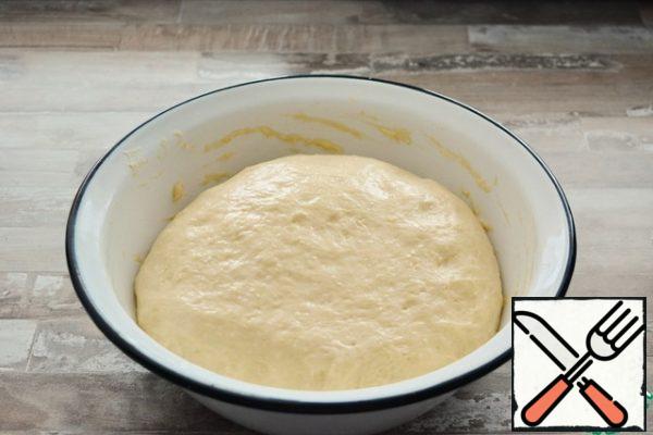 During this time, the dough will rise 3-4 times. Smear it right in the bowl to lubricate your hands with vegetable oil.
