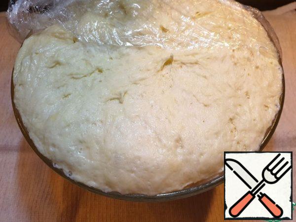 After 40 minutes, the dough rose well.