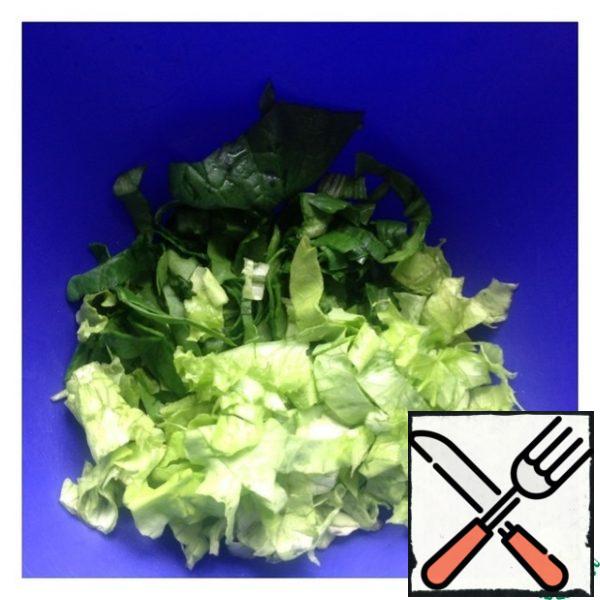 Cut lettuce and spinach.