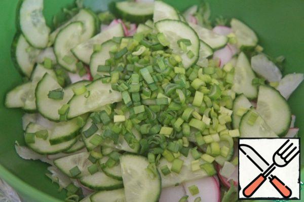 Cucumber.