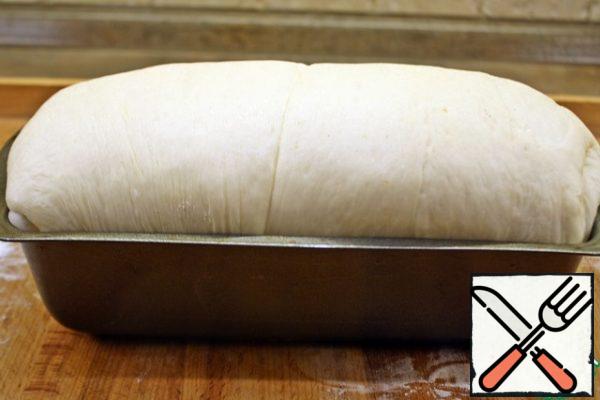 As soon as You saw that the dough rose above the form by 2.5-3 cm, then the dough is ripe and can be baked, you do not need to grease anything. Send in the oven, preheated to 180 degrees for 35-40 minutes.