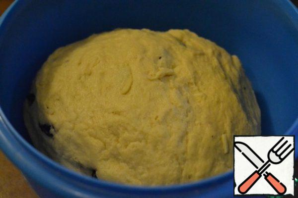 Add the melted and cooled butter.
Knead the dough in any way convenient for you, with your hands or use a food processor.