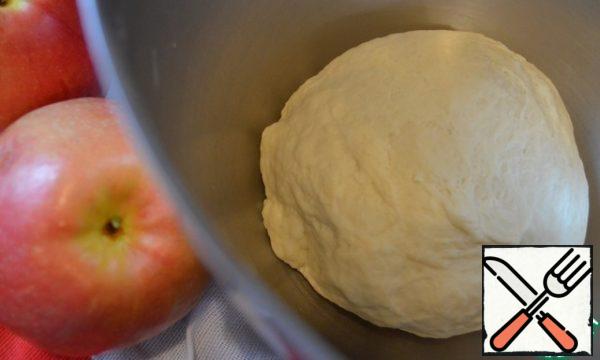 Mix the flour, salt, add the sourdough, mix until smooth.
Add the butter, knead the dough until elastic and soft.
Remove to a warm place, covered with plastic wrap, for 1 hour.
