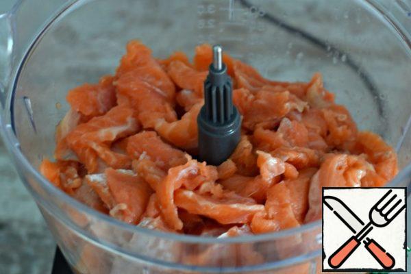Put the fish fillet in the bowl of a food processor.