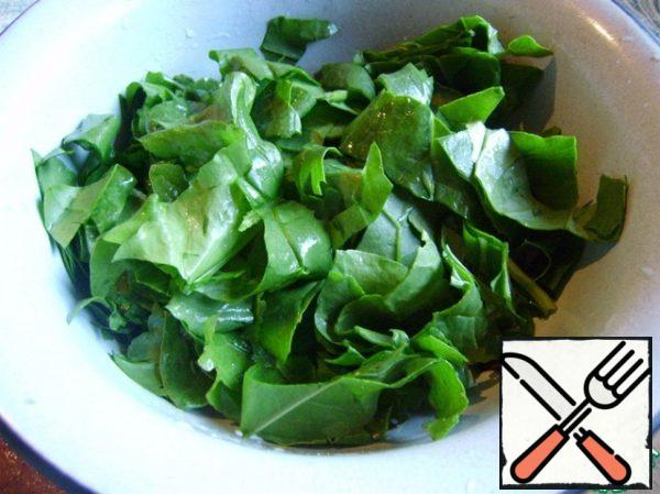 Spinach and sorrel cut into large pieces.
