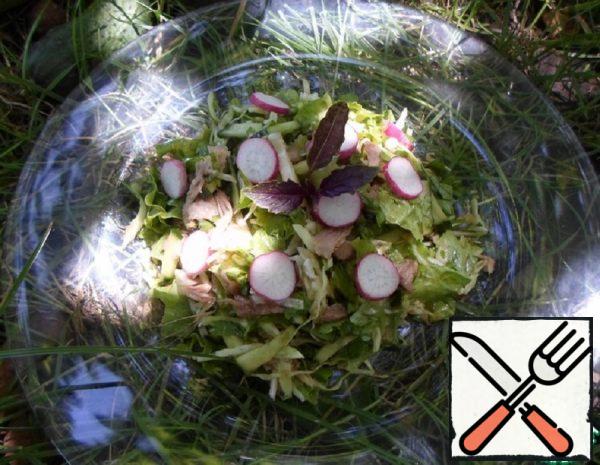 Salad with Cabbage Recipe