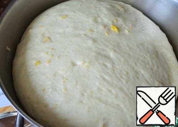 Grease the bowl with vegetable oil (a drop),
lay out the dough, cover with cling film or a linen towel.
Remove to a warm place for 1 hour.
P.S.: the dough is perfectly baked in a closed oven with a light bulb on or in a microwave, putting a glass of boiling water next to it.