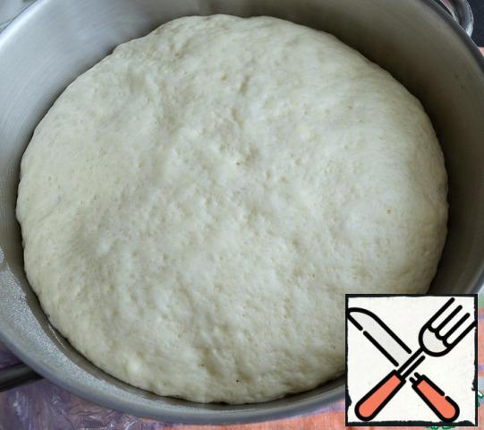After 45 minutes, knead the dough and leave for another 30 minutes.