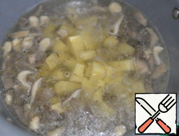 Pour boiling water over the mushrooms, put the diced potatoes, bring to a boil, cook for 10 minutes.