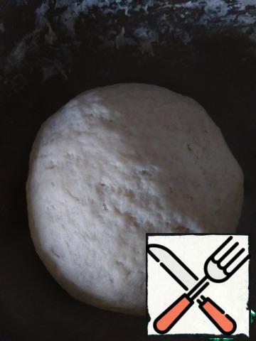 Stir with a spoon, then with your hands for 5 minutes.
The dough should be plastic and pliable.
Cover and place in a warm place for 1 hour.
