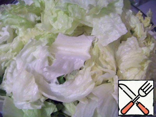 Exactly the same procedure (washed-dried-picked carefully) is done with another salad-iceberg.