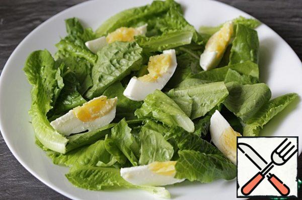 Spread the egg quarters on top of the salad.