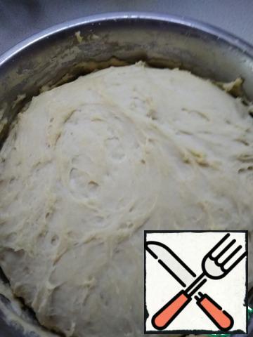 During this time, the dough will increase 2-2. 5 times.
Knead the dough and divide it into 9 equal parts.