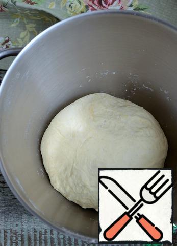 Knead the dough until smooth, form a bun.
Place the dough in a greased bowl,
cover with a film and remove to a warm place for soured. 