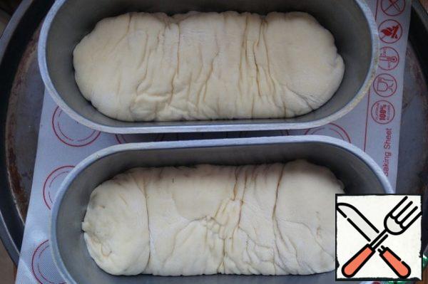 You can leave the dough in the form of loaves, but I put the rolls in the bread pans. Then cover the bread and leave for another 40 minutes for proofing and lifting.