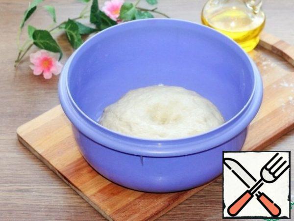 Grease a clean bowl with vegetable oil and spread the dough.