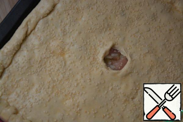 Pinch the edges of the dough, forming a pie. From above, make a hole for the steam to exit. Transfer to a baking sheet. Grease with beaten egg and sprinkle with sesame seeds. Bake at 180*C 45min.