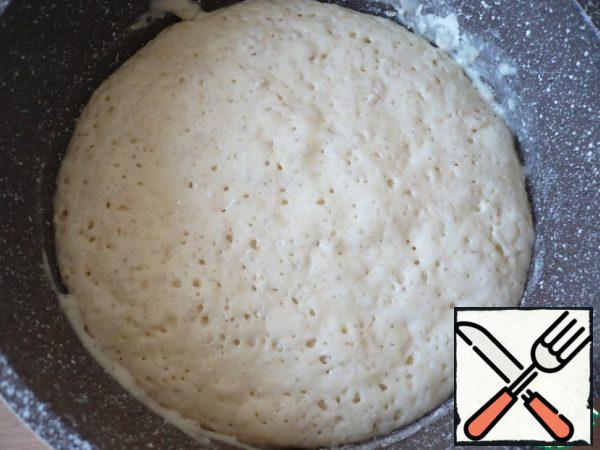 The dough should increase in volume by 2-3 times.