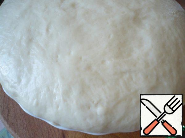 The finished dough will increase significantly in volume.