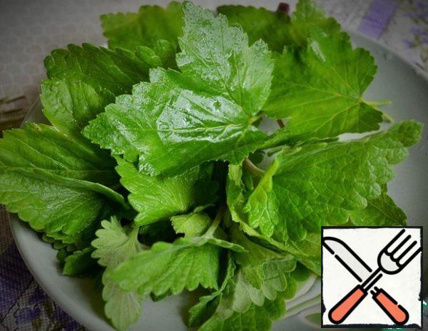 Wash the mint and currant leaves and add them to the pot.