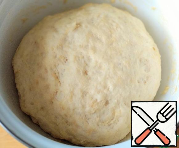Knead the dough, cover with a towel and leave in a warm place for 30-40 minutes for lifting.