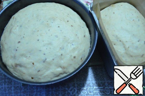 Forms with blanks cover with a film and remove to a warm place for 1 hour.
After the specified time, the dough grew. The oven is preheated to 180 degrees.