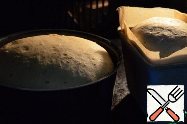 Send the forms to the oven, bake until "dry ray", 40 minutes for small and 50 minutes for large forms.