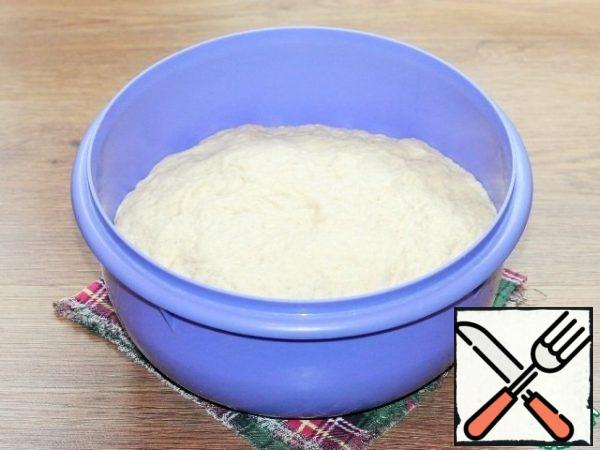 Coming up the dough knead.
