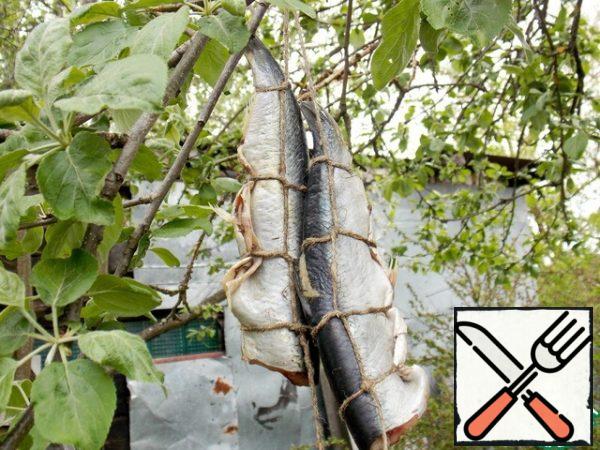 Hang the herring on a string, from the tail side, in a shady, well-ventilated place, covered with insect gauze. Leave it on for 2-3 hours. The fish should be sluggish so that the excess liquid does not boil the fish during smoking.