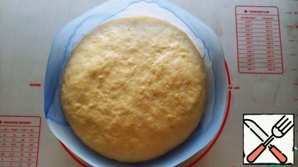 Here is such a wonderful and lively dough is obtained in an hour, it has doubled.