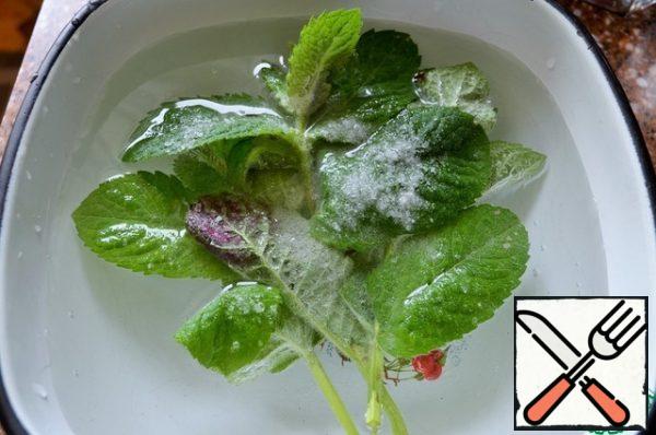 The time specified does not include freezing.
Wash and dry the berries and mint.
I fill the mint with cold water, adding salt, this is to remove unwanted insects. Then rinse in running water.