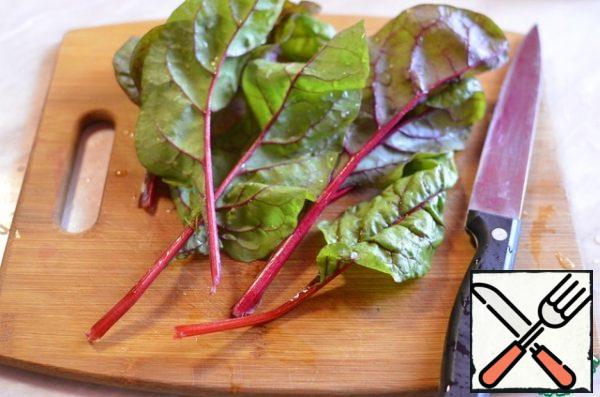 Cut leaf beet-Swiss chard.