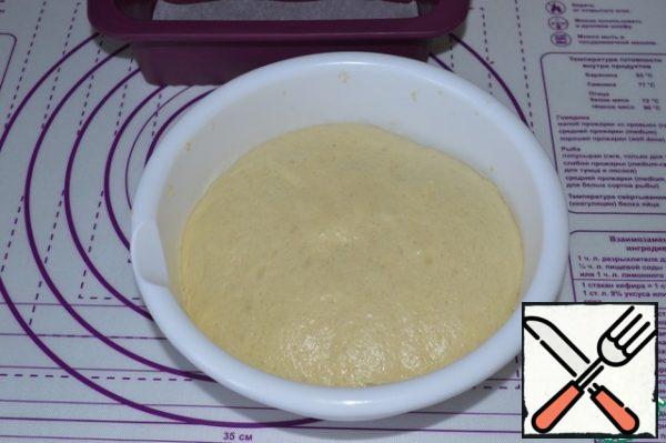 Knead the dough that comes up, roll it out into a layer (the width of the layer should correspond to the length of the form), 1-1. 5 cm thick.