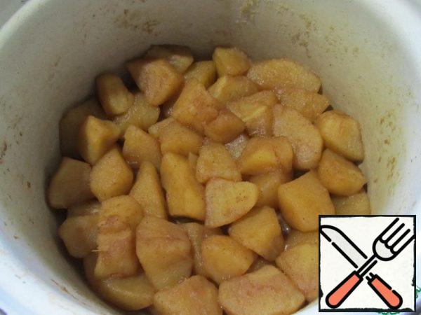 Put the apples in a saucepan, add 125 ml of water, sugar, cinnamon, lemon juice and simmer for 15 minutes on low heat.