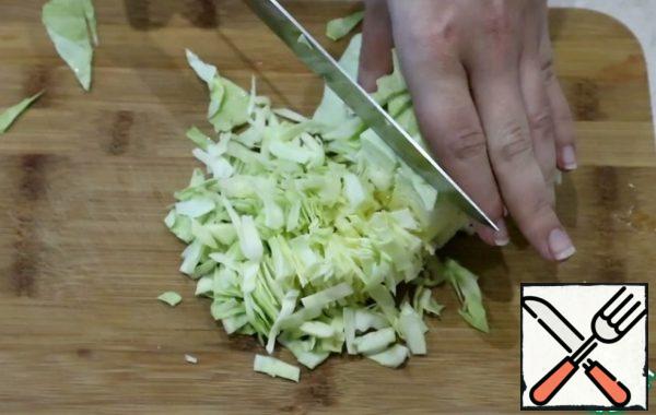 Chop the cabbage at random.