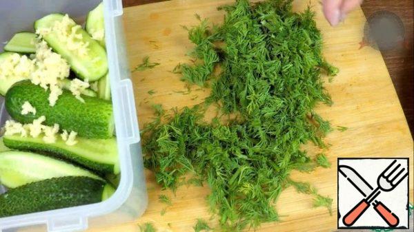 Fresh dill cut at random. Not very small. Adding it to the container.