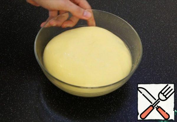 My dough came up in an hour.