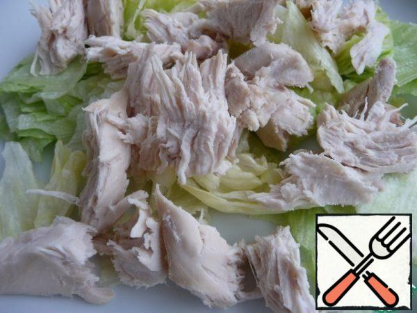 Cut pieces of chicken fillet onto a lettuce leaf.