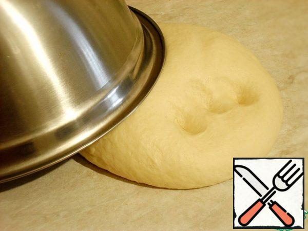 After 2-3 such repetitions, the dough becomes elastic and obedient.
Roll up in a bun, cover with a bowl so that it does not air.