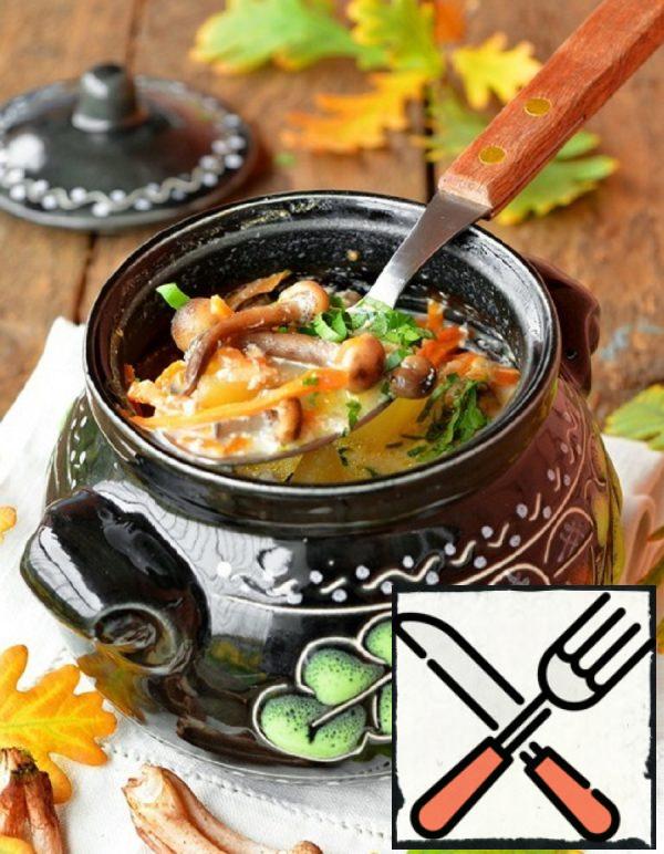 Mushroom Soup with Melted Milk Recipe