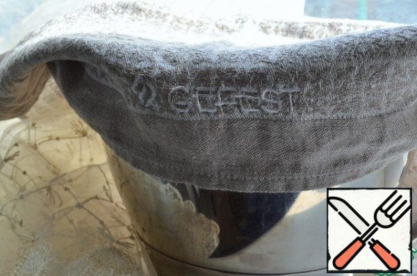 Place the dough in a greased bowl, cover and place in a warm place for 1 hour.