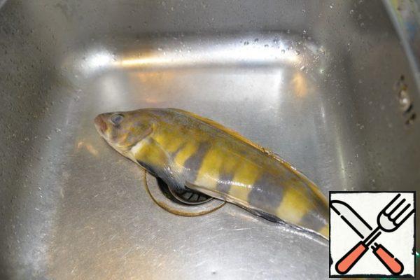 For cooking, any white fish is suitable, most importantly, not bony, I have a Kuril perch.