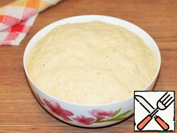 Coming up the dough knead.