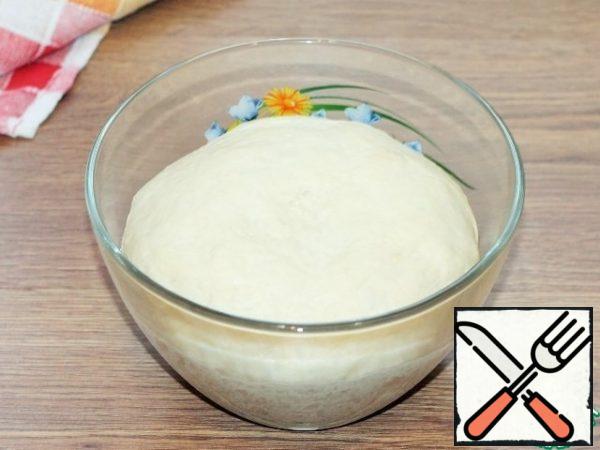 Coming up the dough knead.